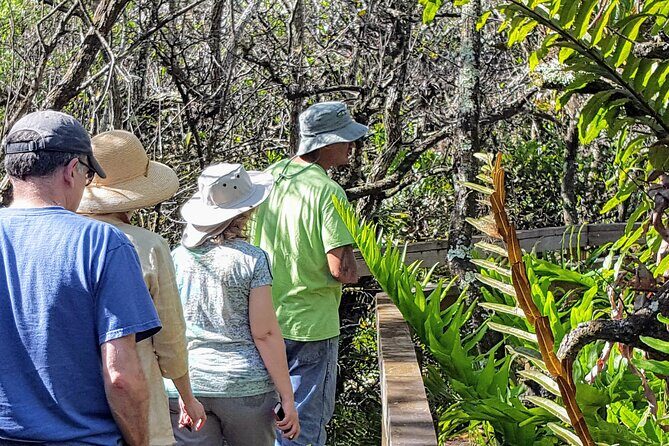 10,000 Islands Boat Tour + Naturalist Led Walk in the Everglades! - Why This Tour Offers Great Value
