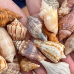 10,000 Islands Shelling Trip Marco Island FL - Final Thoughts
