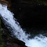 12-Day Nepal Adventure Trek with Jungle Safari - What Makes This Tour Stand Out?