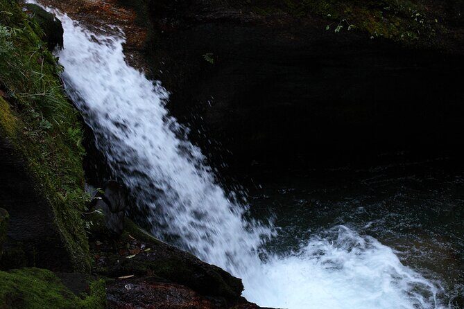 12-Day Nepal Adventure Trek with Jungle Safari - What Makes This Tour Stand Out?