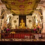 12 Days 11 Nights Experience Nature Culture & Beauty Of Sri Lanka - Potential Drawbacks and Considerations