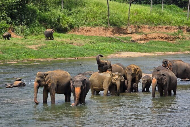 12 Days Tour Grand Discovery of Sri Lanka - Who This Tour Suits Best