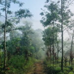 12 Hours Private Munnar Tour from Kochi - What This Tour Offers in Terms of Value and Authenticity