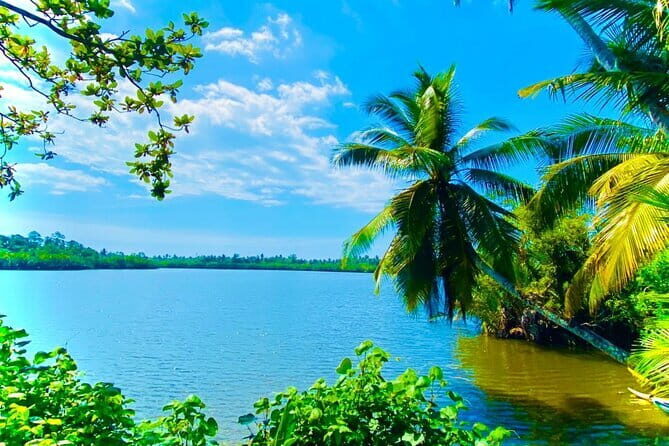 14 Days/ 13 Nights -Sri Lanka Tour on Culture, Wildlife & Beaches - Authentic Experiences and Real Traveler Insights