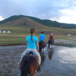 15 days Combination of Gobi and Central Mongolia - Practical Considerations & Tips
