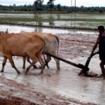 1day Private tour, Angkor sunrise,all main temples, Banteay srei - What Sets This Tour Apart