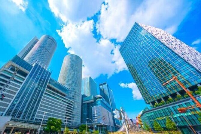 1Day Private Tour for All Around Nagoya by Public Transportation - Who Is This Tour Best For?