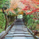 [2.3km / 1.43mi] Kyoto East Early Morning Walking Tour - An In-Depth Look at the Kyoto East Early Morning Walking Tour