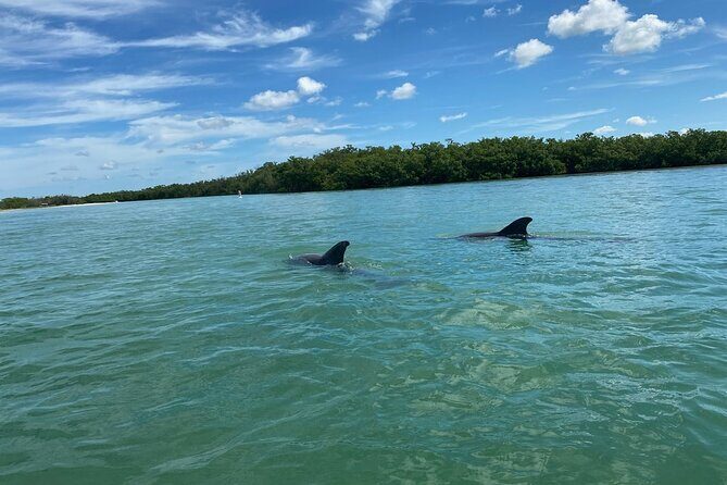 2.5-Hour Guided Group Kayak Tour on Big Hickory Pass - Who Will Love This Tour?