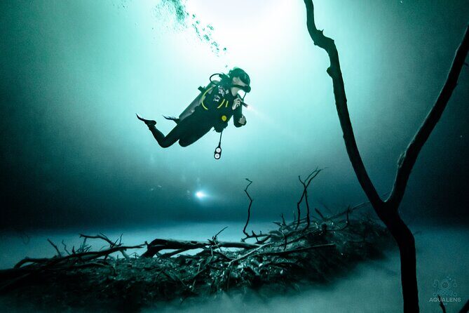 2 cenote divings (including one deep diving) for advanced divers in Tulum - Details That Matter for Your Planning