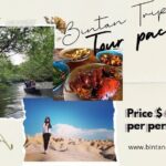 2 Day 1 Night / Trip to Bintan desert and blue lake - Transportation and Practicalities