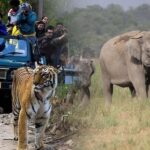 2-Day Agra and Ranthambore Tour from Delhi - Who This Tour Is Best For