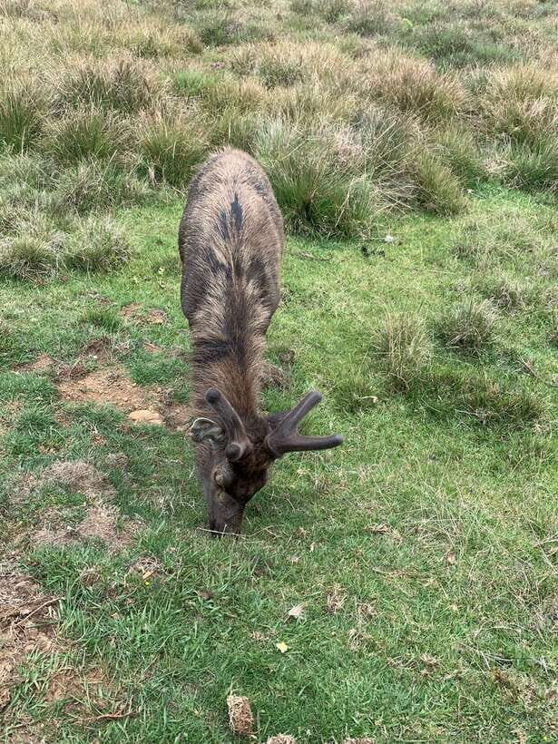 2-Day Ella Tour: Diyaluma Falls Horton Plains & Scenic Train - Detailed Breakdown of the 2-Day Tour