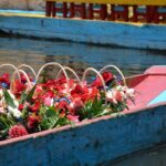 2-Day Guadalupe Shrine, Teotihuacan Pyramids and Xochimilco - Who Will Benefit Most?