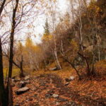 2 Day Horse trekking in Terelj national park - Who Should Consider This Tour?