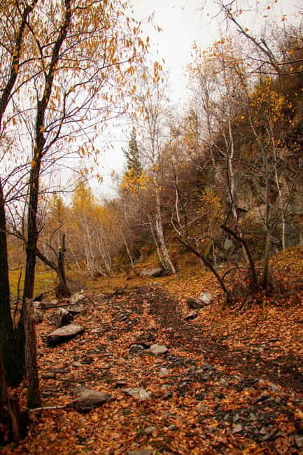 2 Day Horse trekking in Terelj national park - Who Should Consider This Tour?