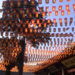 2-day In-depth Tour of Terracotta Army & Xian Top Sites - The Itinerary in Detail