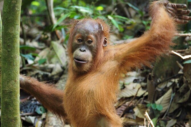 2-Day Jungle Trekking & Rafting in North Sumatra - Why This Tour Delivers Great Value