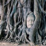 2 Day Private Car with Driver from Laem Chabang to Bangkok & Ayutthaya - Pricing and Value for Money