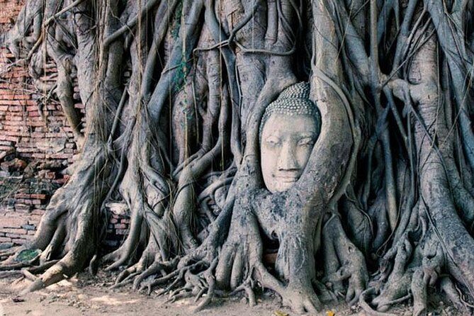 2 Day Private Car with Driver from Laem Chabang to Bangkok & Ayutthaya - Pricing and Value for Money