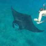 2 day tour and snorkel to meet Manta Rays in Nusa Penida - Key Points