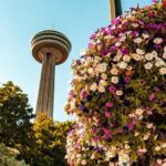 2 - Day USA & Canada Full Experience - Who Would Love This Tour?