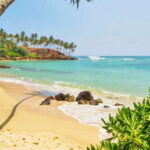 2-Day Whale Watching & Southern Sri Lanka Tour - Who Should Consider This Tour