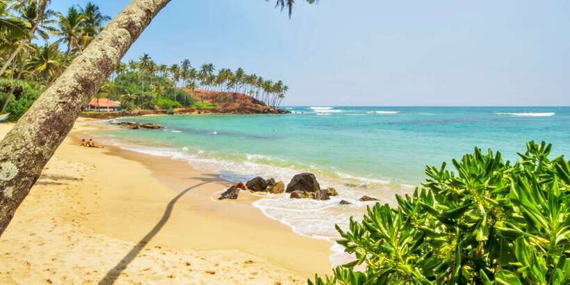 2-Day Whale Watching & Southern Sri Lanka Tour - Who Should Consider This Tour