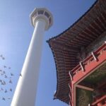 2-DAYS Busan Customized and Included Night tour - The Value of This Tour