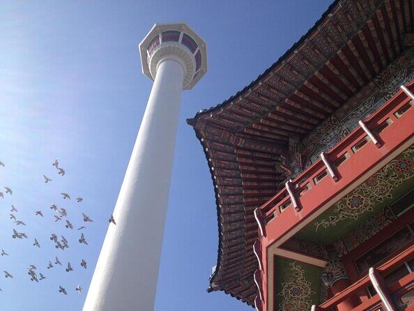 2-DAYS Busan Customized and Included Night tour - The Value of This Tour