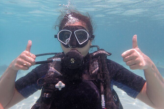 2 Days Diving Trip to Koh Tao Including 4 Dives and Accommodation - Who Will Love This Experience?