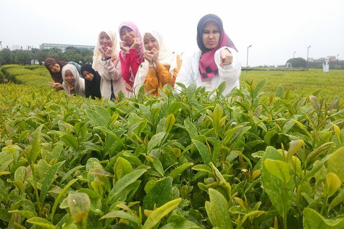 2 Days Jeju Island Private Taxi Tour (East/West of Jeju Island ) - What We Love About This Tour