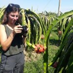 2 Days Motorbike Tour From Mui Ne To Da Lat Or Vice Versa - Exploring the Detailed Itinerary: What to Expect