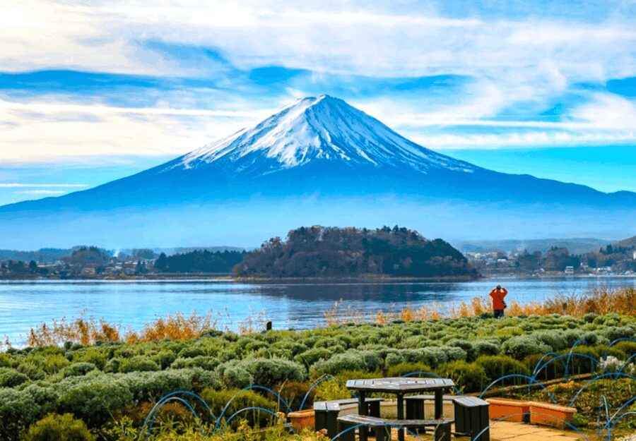 2 Days Tokyo, Mount Fuji Trip Private Guided Tour - FAQ
