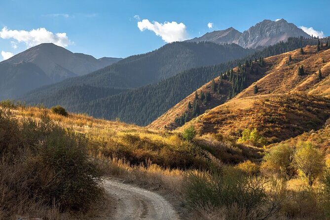 2 Days Tour: Charyn Canyon, Kaindy & Kolsay Lakes - Transportation & Logistics