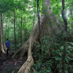 2 Days Tour in Cat Tien National Park - Exploring the 2-Day Itinerary in Detail