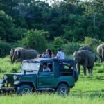 2 Days Tour of Double Safari (Yala & Udawalawe) - All Inclusive - A Deep Dive into the Two Days of Safari