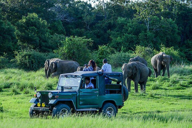 2 Days Tour of Double Safari (Yala & Udawalawe) - All Inclusive - A Deep Dive into the Two Days of Safari