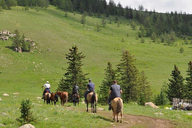 2 Days Tour: Terelj National Park And Chinggis Statue - Who Should Consider This Tour?