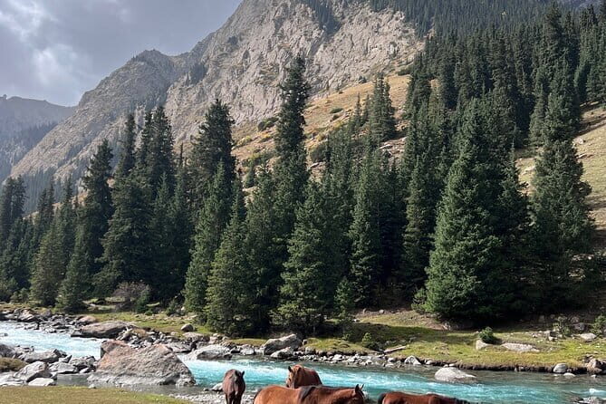 2 Days tour to Issyk Kul lake with Yurt Stay - Frequently Asked Questions