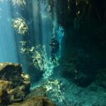 2 dives in Cenote Dos ojos Certified Divers - Who Will Love This Tour?