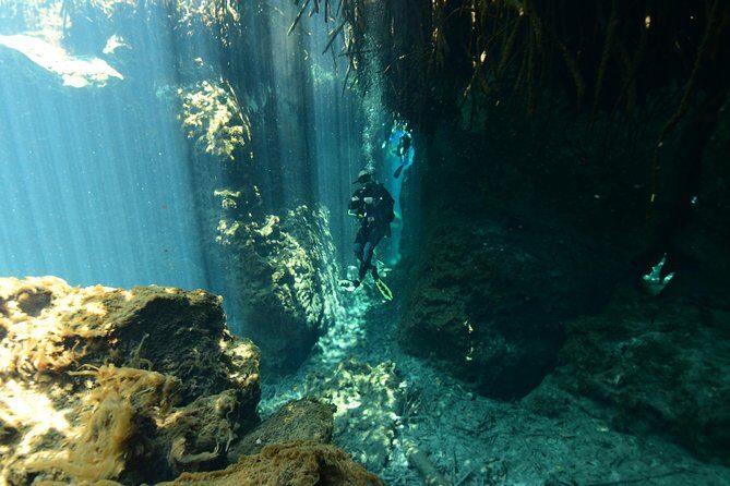 2 dives in Cenote Dos ojos Certified Divers - Who Will Love This Tour?