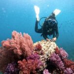 2 Fun Divers for Certified Divers in Thailand - Frequently Asked Questions