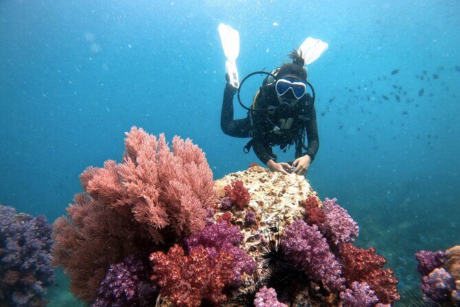2 Fun Divers for Certified Divers in Thailand - Frequently Asked Questions