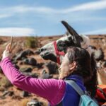 2-Hour Llama Hike - FAQ