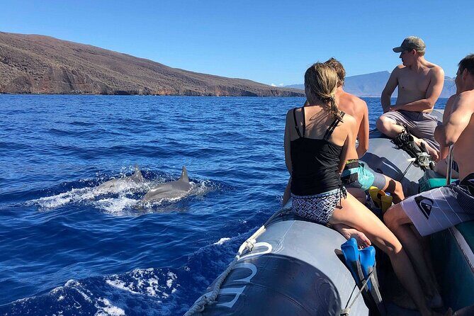 2 Hour Maui Dolphin Watch Sightsee Raft Tour (Semi-Private) - Authentic Reviews and Highlights