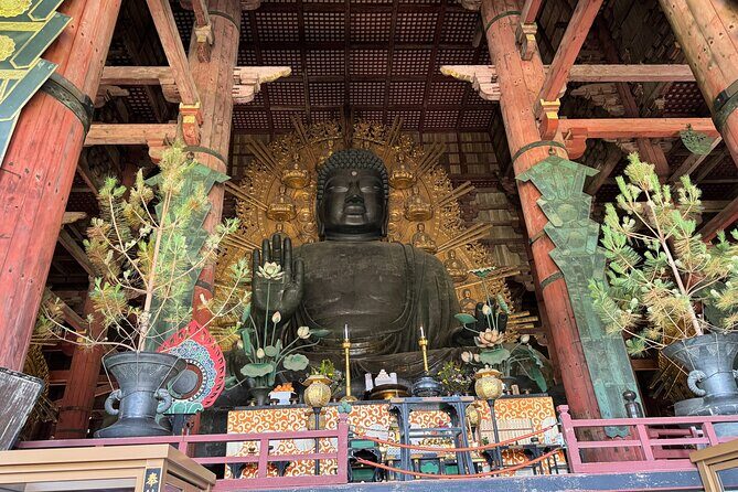 2-Hour Nara: Discover Every Bit of Tohdaiji-Temple Private Tour - Practical Details and What They Mean for You