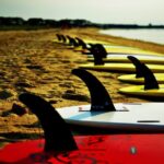 2-Hour Paddleboard Rental in Rehoboth Bay - Authentic Experiences and Honest Feedback