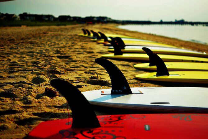 2-Hour Paddleboard Rental in Rehoboth Bay - Authentic Experiences and Honest Feedback