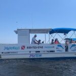 2 Hour Private Dolphin Cruise & Bay Tour - A Detailed Look at the Tour Experience
